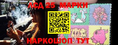 спайс Кингисепп