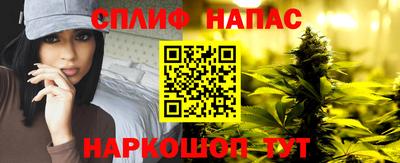 спайс Кингисепп
