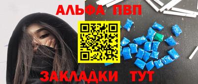 спайс Кингисепп