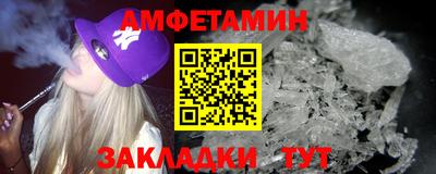 спайс Кингисепп